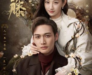 Drama China Rattan (2021) Subtitle Indonesia