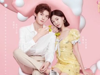 Download Drama China Meeting You Loving You Subtitle Indonesia